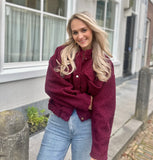 BOMBER TEDDY BORDEAUX ROOD